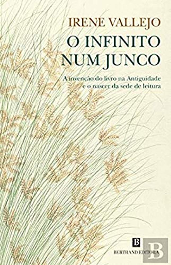 Libro O Infinito num Junco