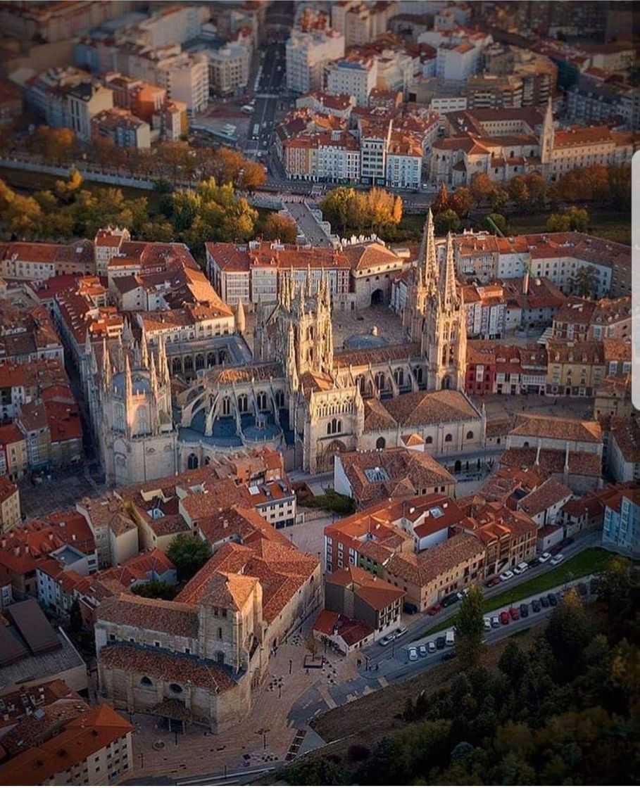 Place Burgos