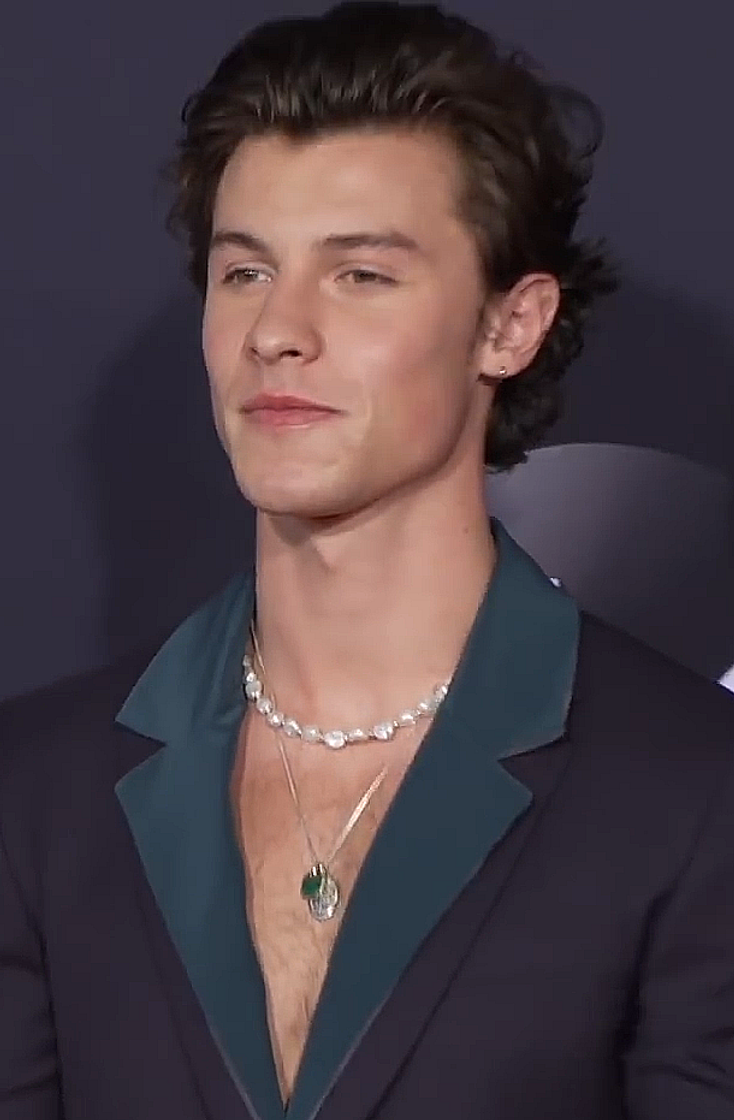 Moda Shawn mendes