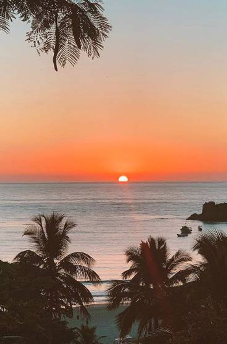 Social Lembrete do dia✨