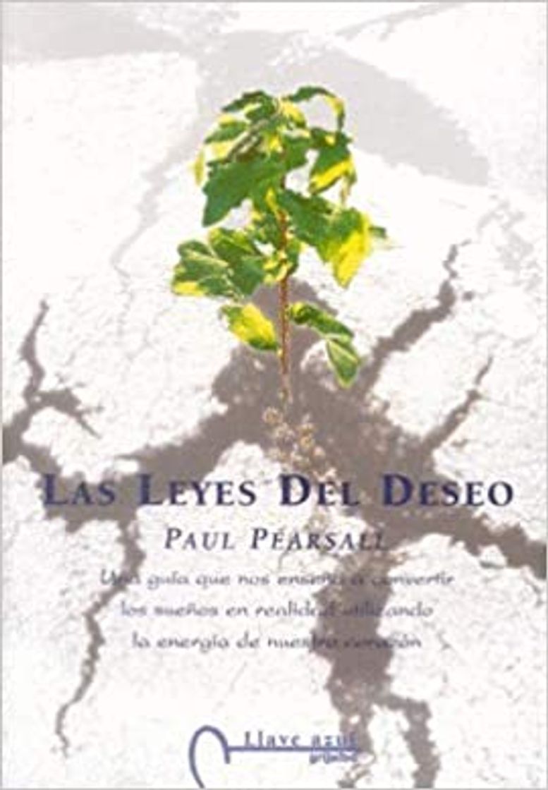 Libros LEYES DEL DESEO-PAUL PEARSALL