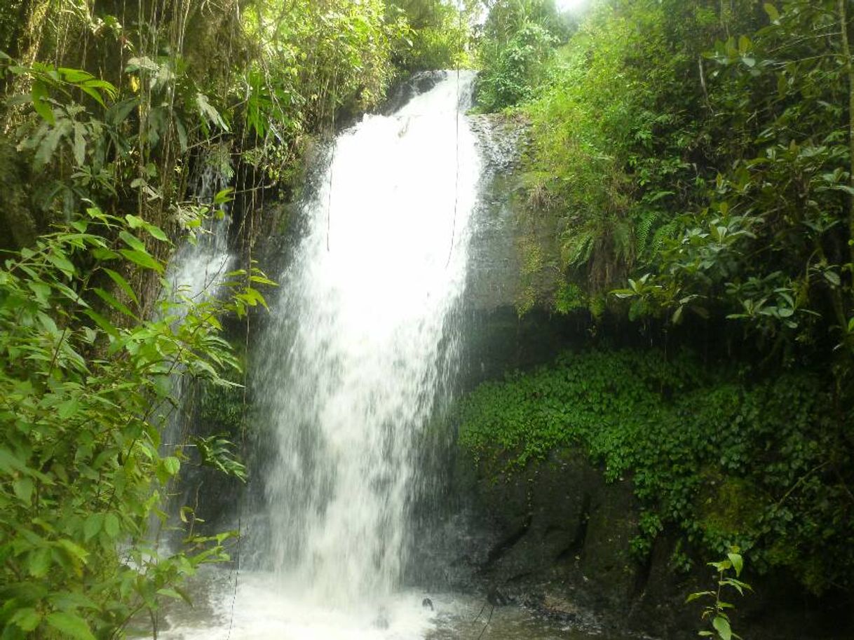 Place Cascadas De San Pedro