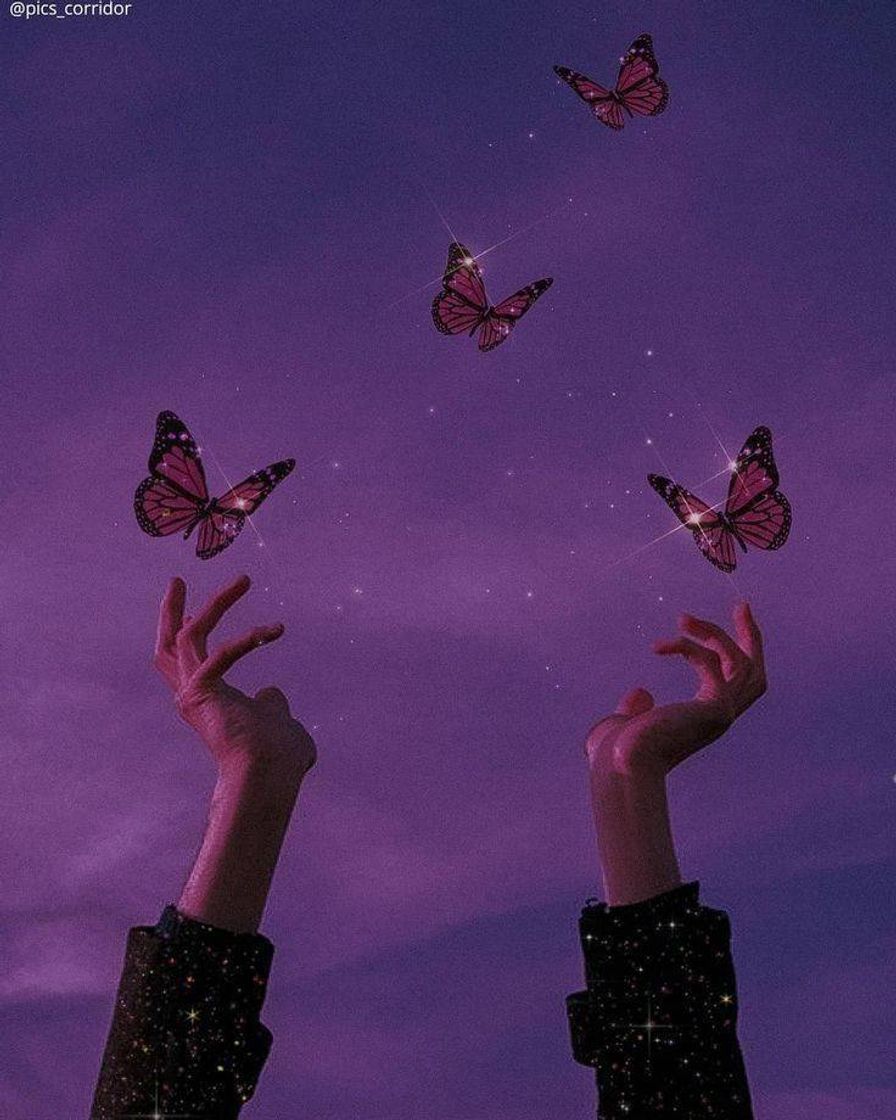 Social Papel de parede roxo 💜
