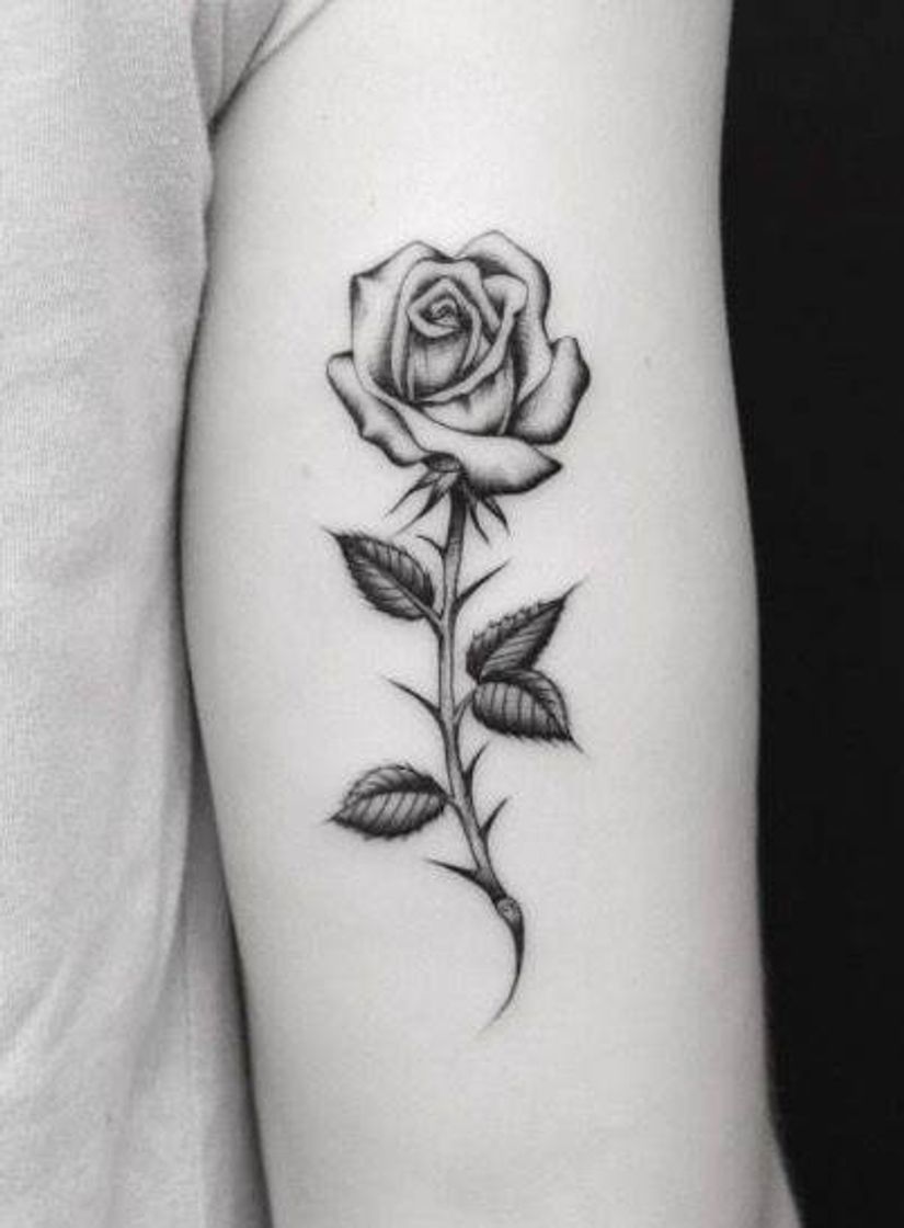 Fashion Tatuaje de rosas