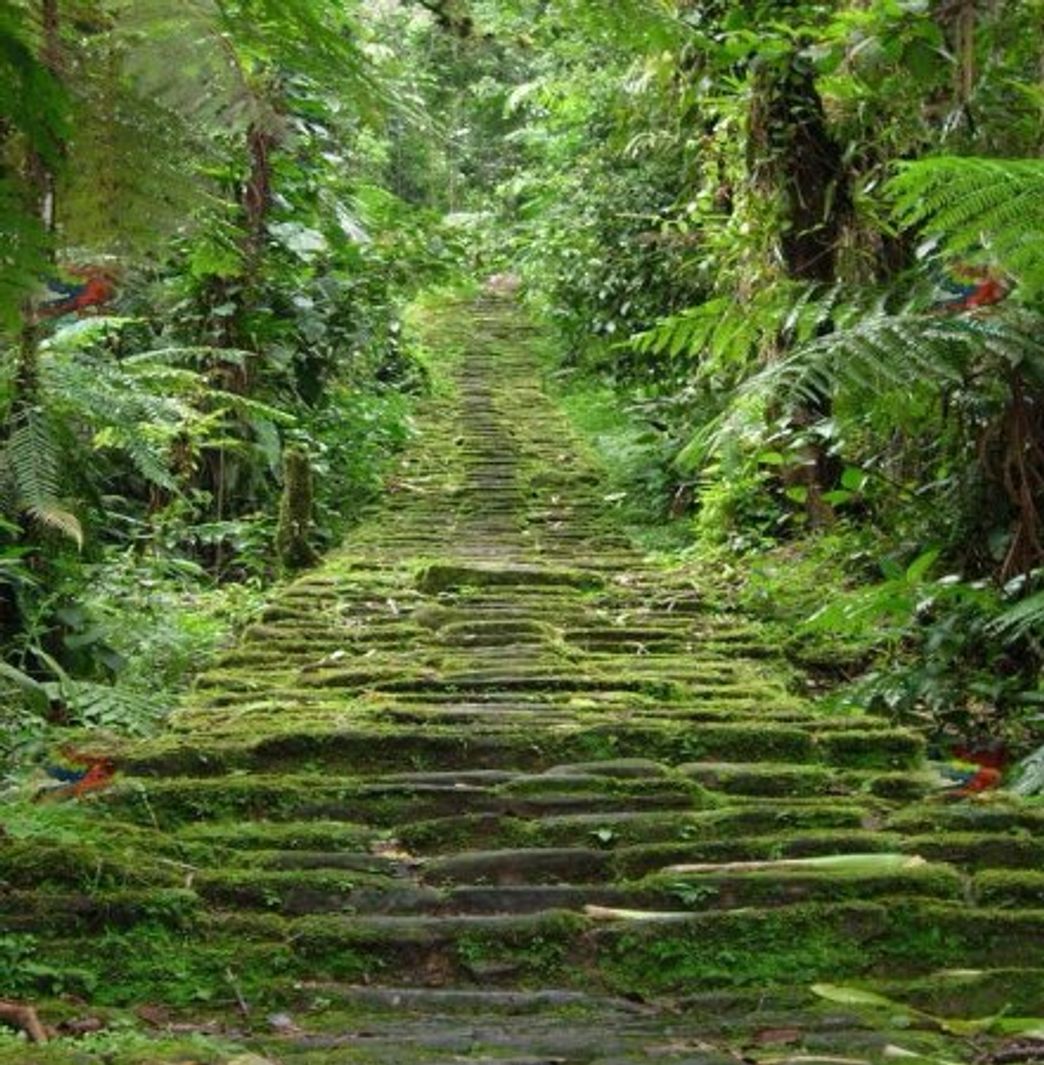 Lugar Ciudad Perdida