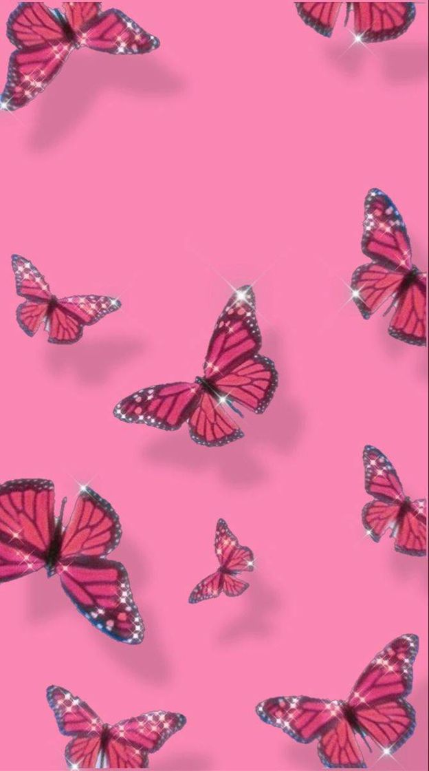 Social BORBOLETAS 🦋💫