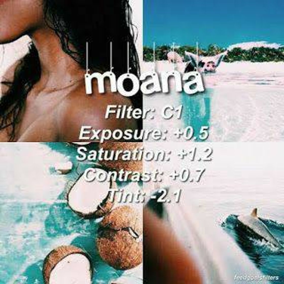 Fashion Filtro MOANA 