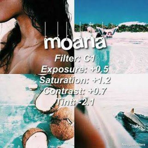 Filtro MOANA 