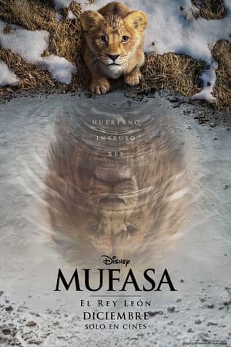 Película Mufasa: El rey león