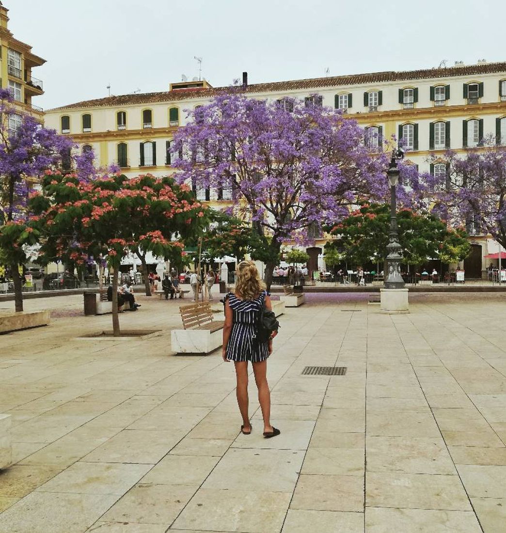 Place Plaza de la Merced