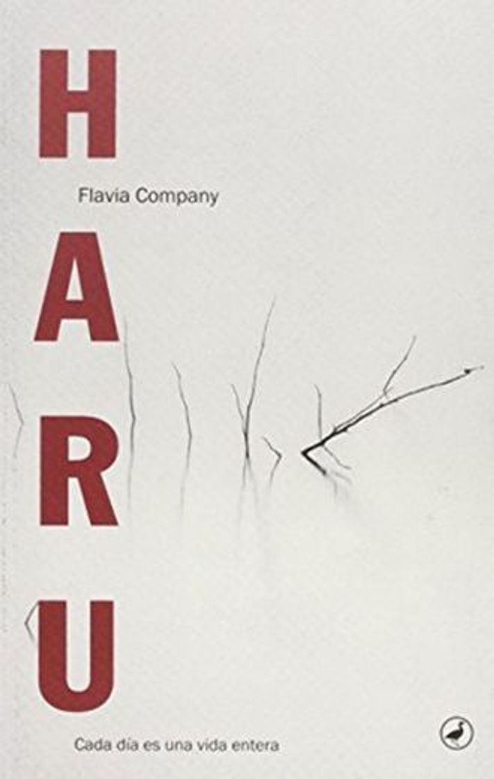 Book Haru [Edición Roughtcut]