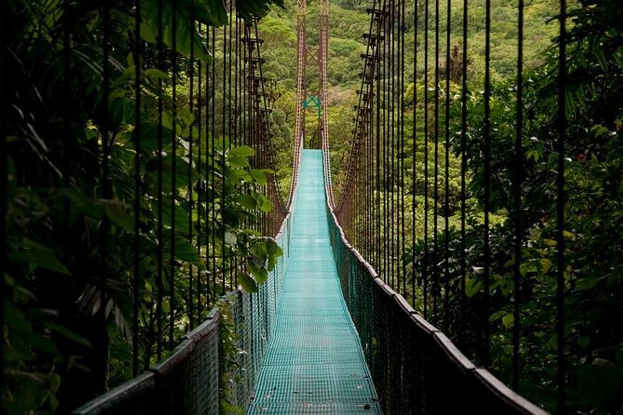 Place Mistico Arenal Hanging Bridges Park