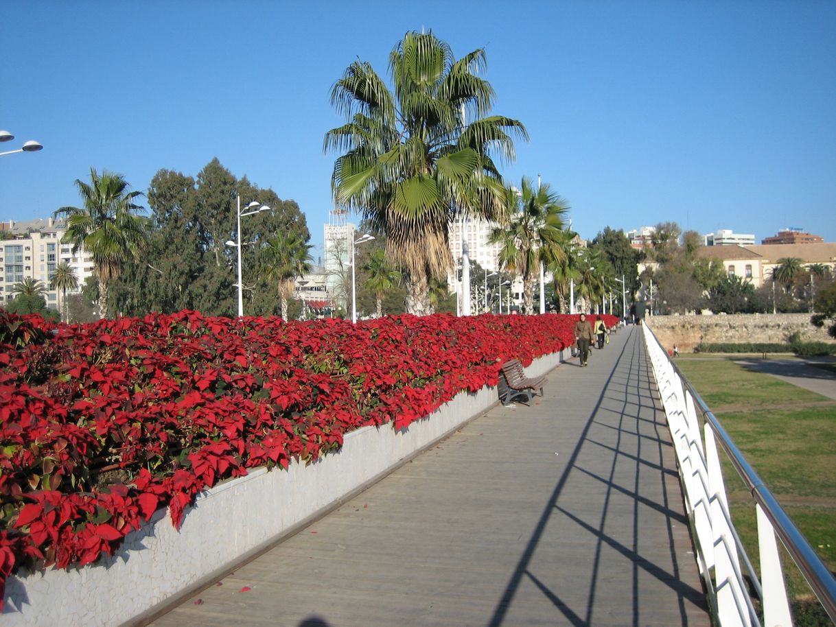 Lugar Puente de las Flores