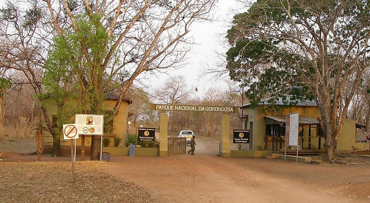 Lugar Gorongosa National Park