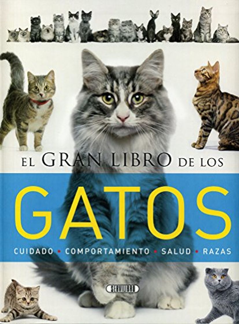 Libro El gran libro de los gatos