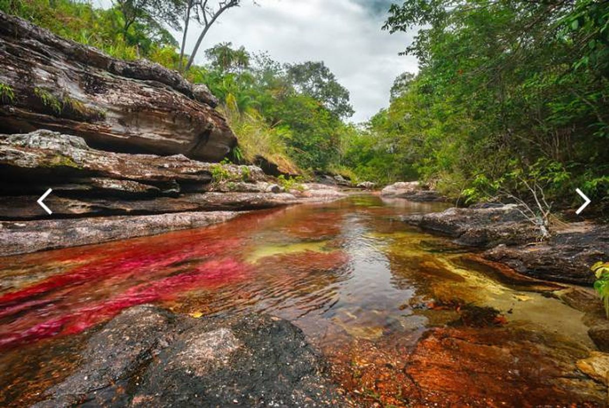 Lugar Caño Cristales