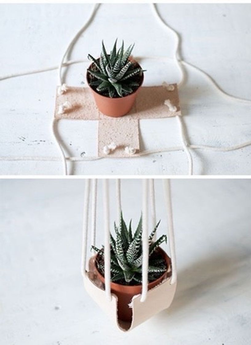 Fashion Bases de plantas 🪴 