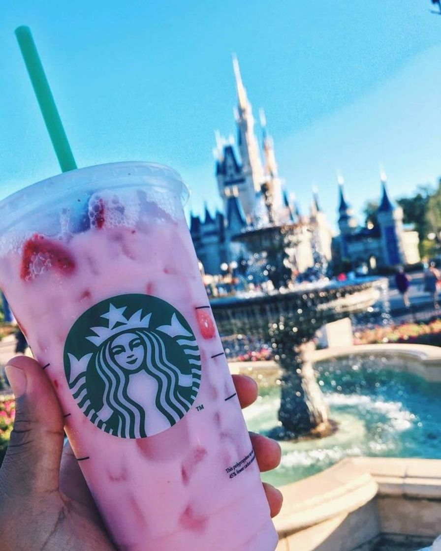 Moda Disney and Starbucks 