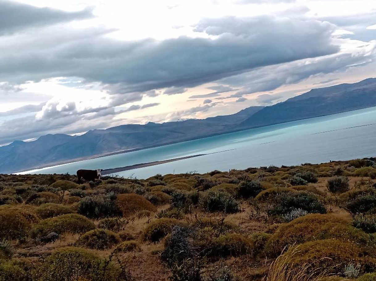 Place Lago Argentino