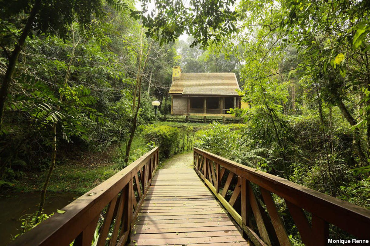 Lugar Bosque Alemão