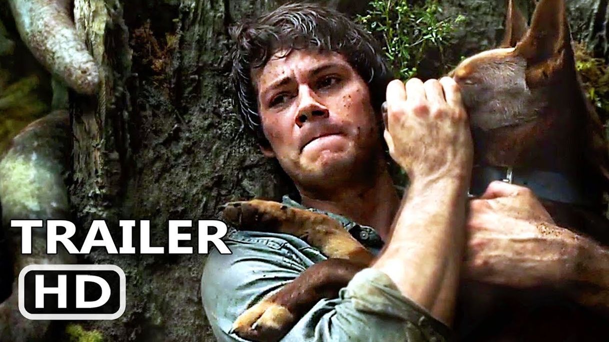 Social AMOR E MONSTROS Trailer Brasileiro LEGENDADO (2021) Dylan ...