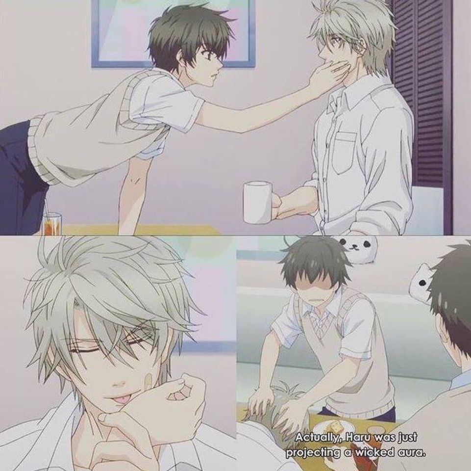 Serie Super Lovers