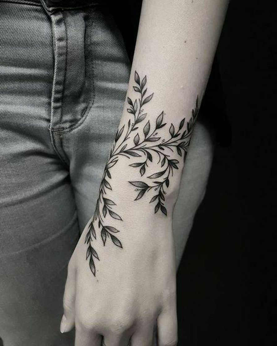 Social 🌿 tendências 