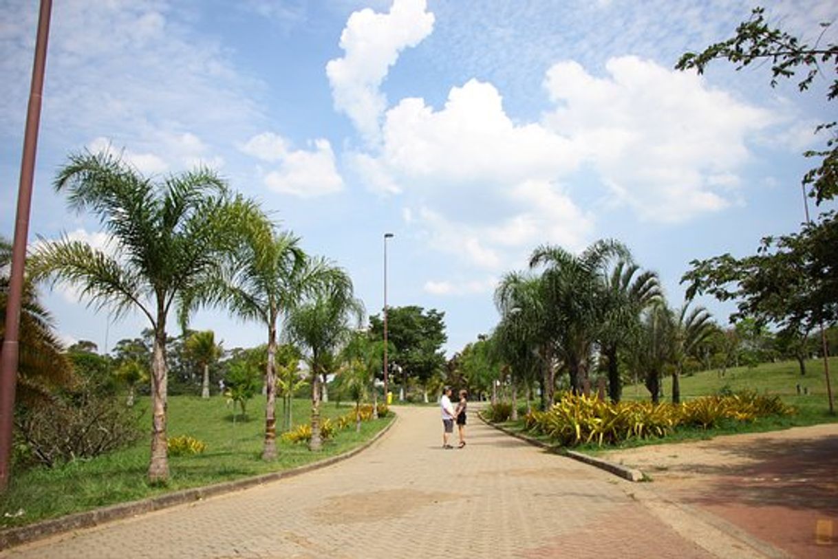 Moda Parque central santo André 