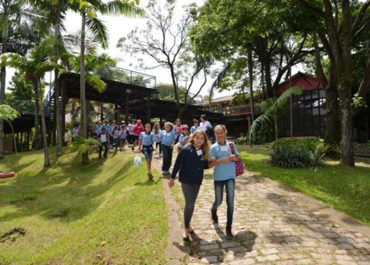 Moda Parque escola santo André 