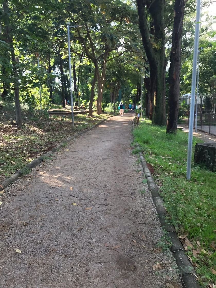 Moda Parque pignatari santo André 