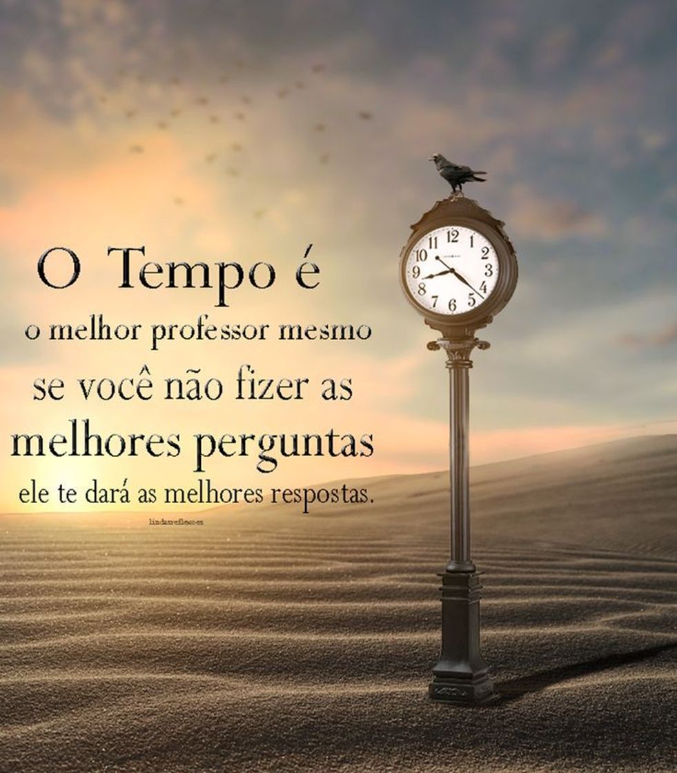 Fashion Frases para refletir sobre a vida