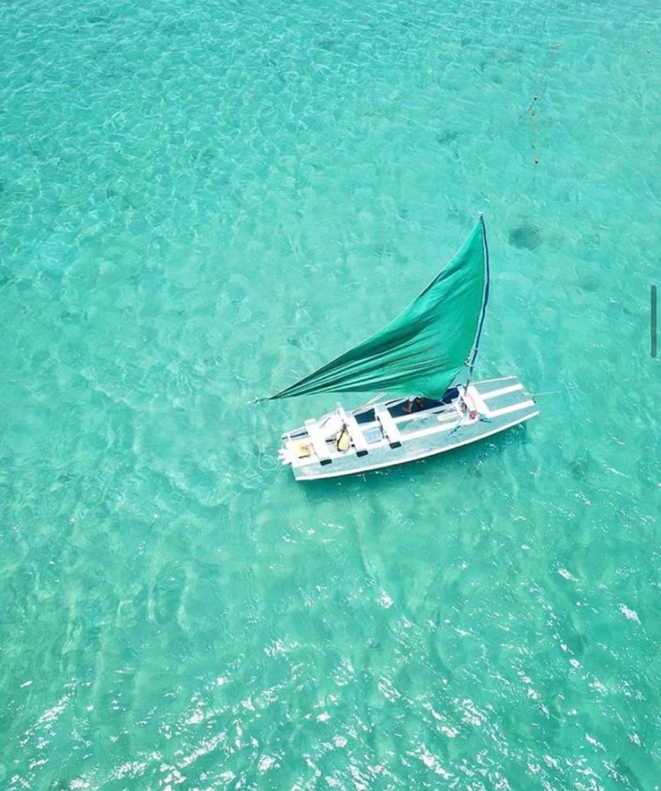 Moda Jangada ao mar de Porto de galinhas 🐓 