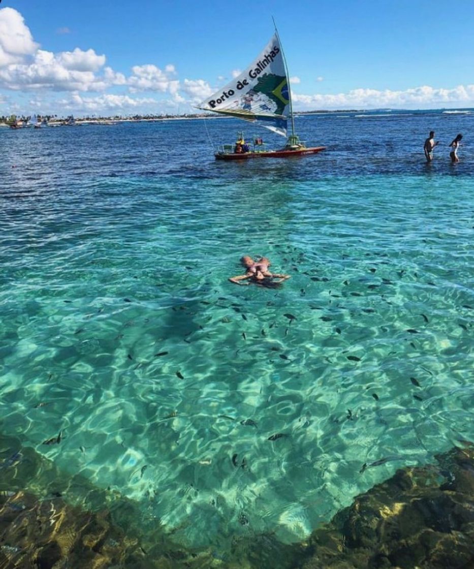 Moda Porto de galinhas 🐓