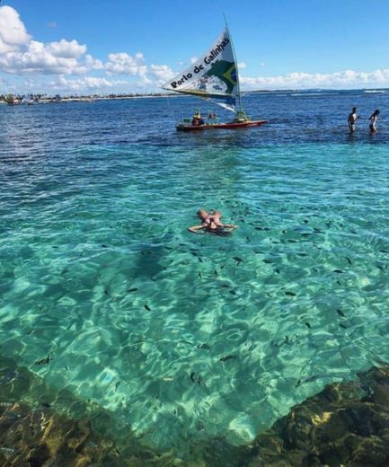 Porto de galinhas 🐓