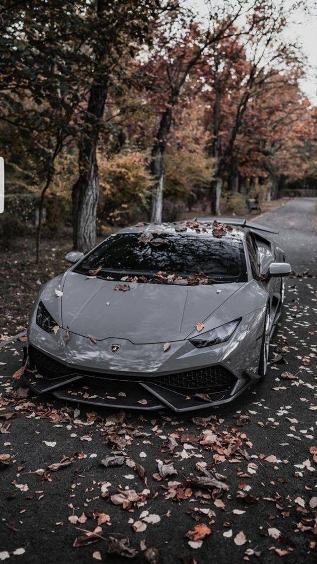 Fashion Lamborghini