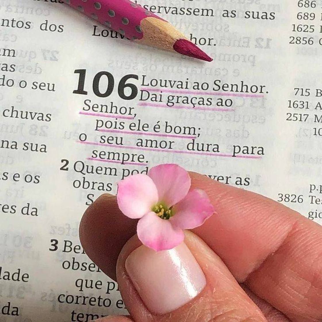 Moda Louvai ao senhor Jesus Cristo