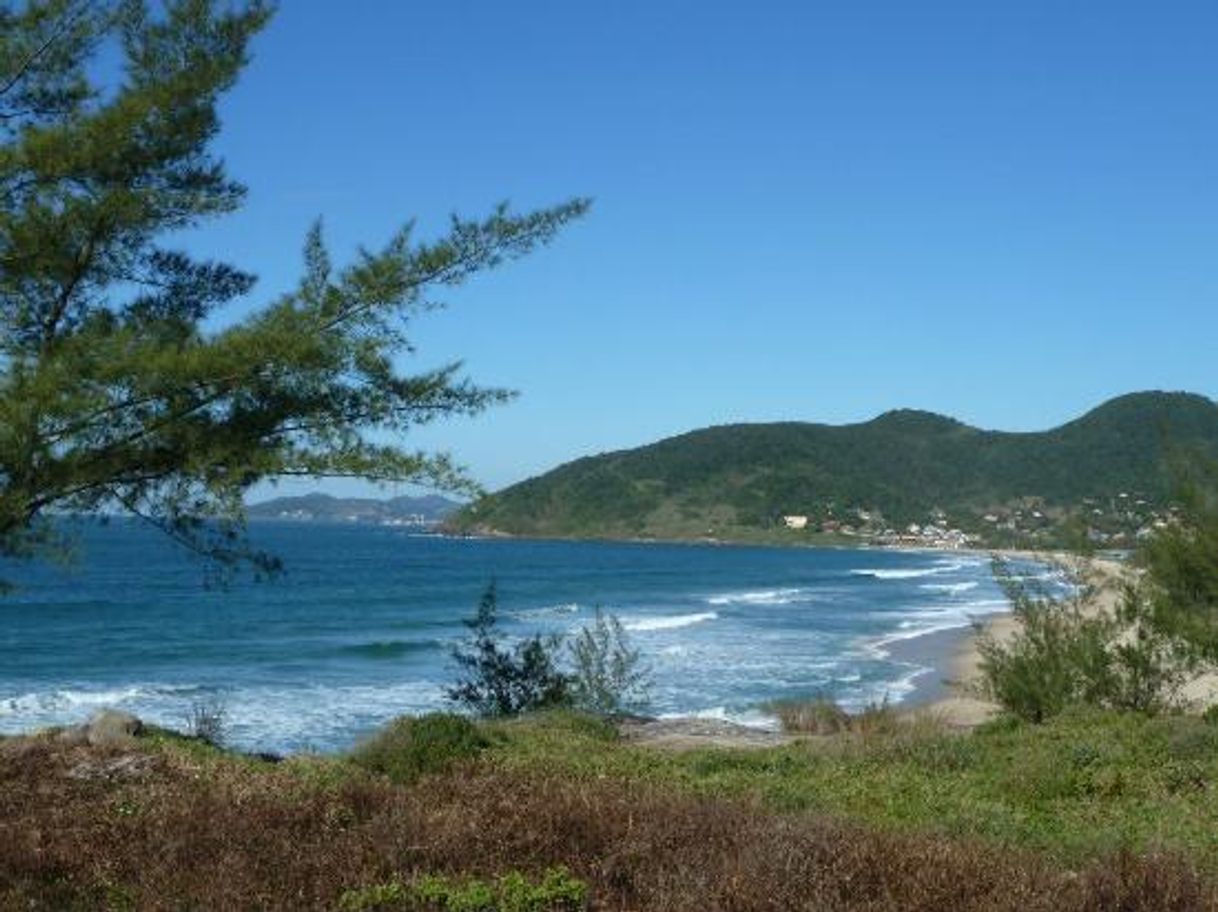 Lugar Praia da Gamboa