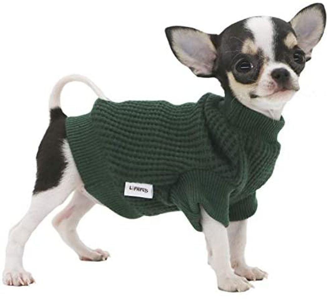 Social Sudadera para tu consentido 🐈‍⬛🐩🛍