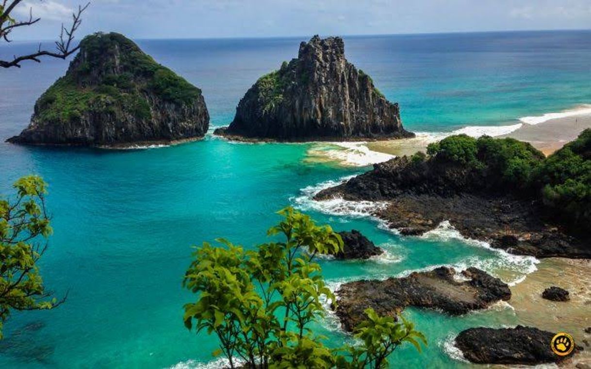 Place Fernando de Noronha