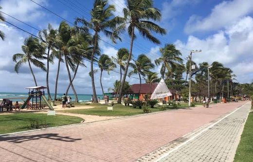 Praia do Francês