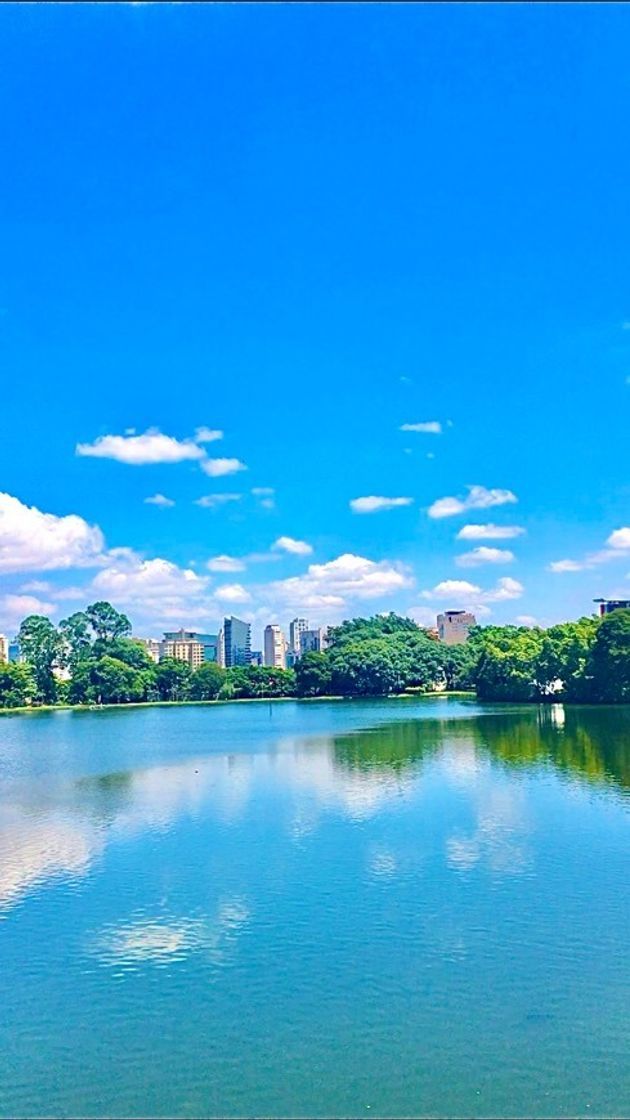 Lugar Parque Ibirapuera