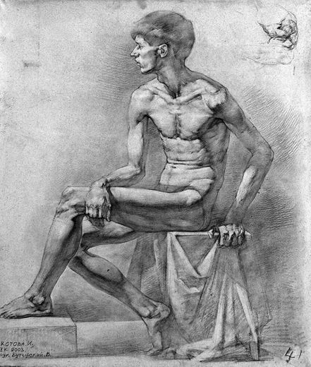 Sketch anatomy masculine (esboço de anatomia masculina)