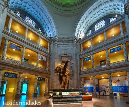 Museo Nacional de Historia Natural del Instituto Smithsoniano