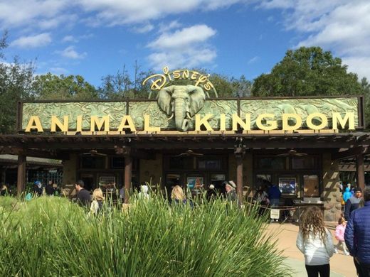 Disney's Animal Kingdom Theme Park Entrance