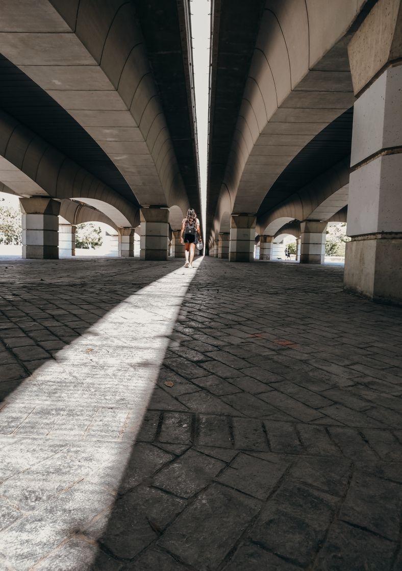 Lugar Ciudad de las Artes y las Ciencias