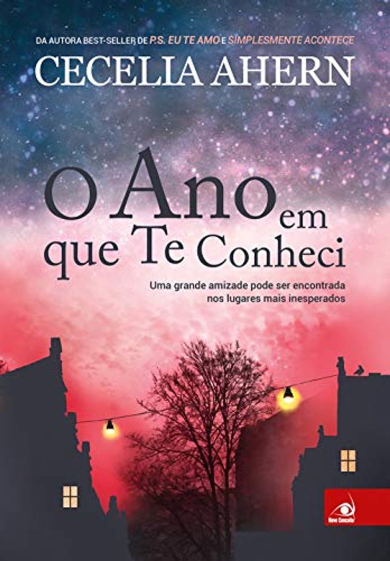 Libro O Ano em que te Conheci