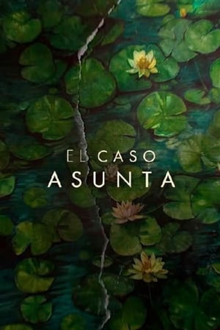 Serie El caso Asunta