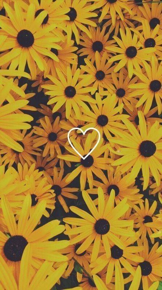 Moda WALLPAPER AESTHETIC🌻