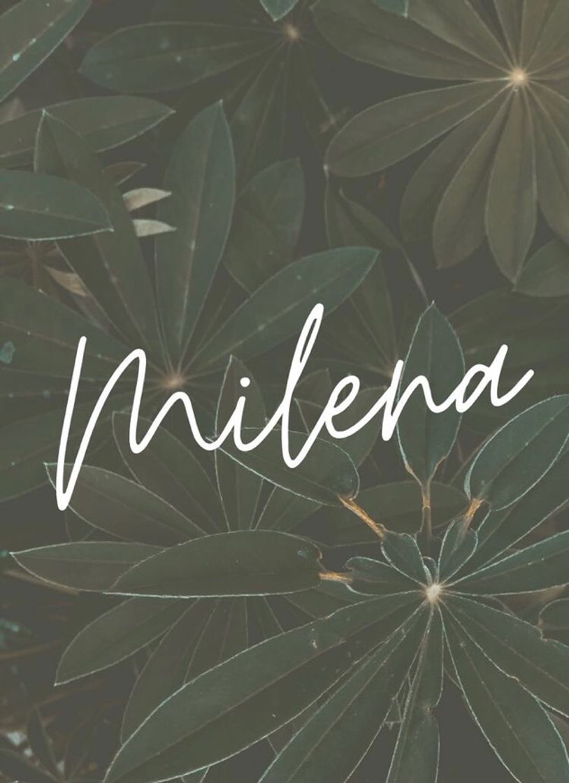 Fashion Wallpaper Milena