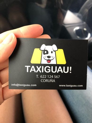TaxiGuau! - Viaja con tu mascota en Taxi
